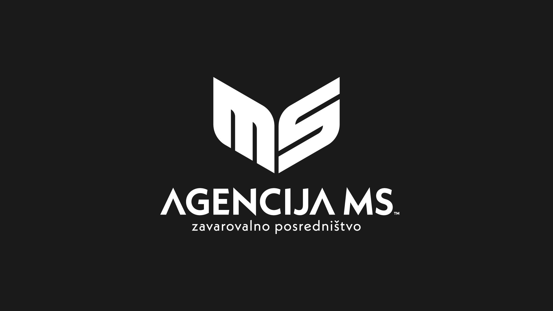 agencija-ms-1